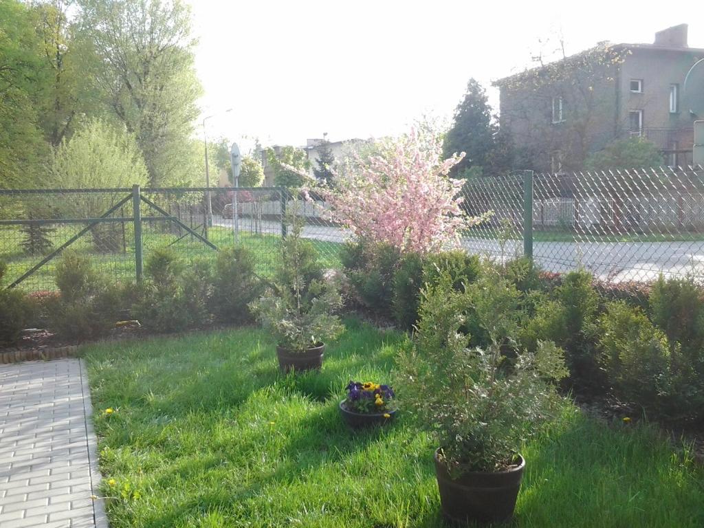 Villa Green Oświęcim Kültér fotó